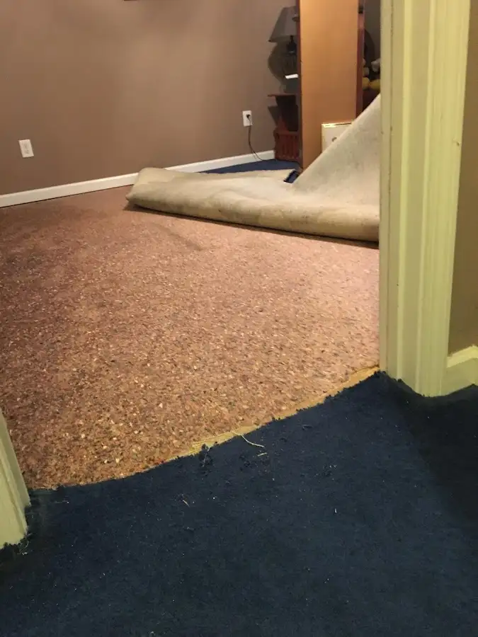 Carpet pad removal revealing water damage during Drying & Dehumidification in Hainesport